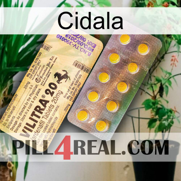 Cidala new06.jpg